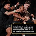 All Blacks Plant Protein Vegan Blend − Unflavoured 