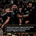 All Blacks Plant Protein Vegan Blend − Vanilla 